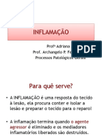 Inflamação completo.pdf