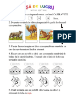 Fisa Sumativa 11 PDF