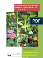 Download Modul Praktikum Produksi Tanaman Obat Dan Aroma by fadli_nugraha6109 SN46262734 doc pdf