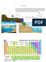 Ciclo Del Fosforo 3