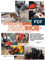 Salvar A Los Pinguinos FORM