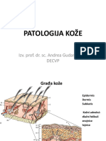 Patologija Kože PDF
