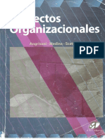 Angrisiani.Proyectos-Organizacionales. .pdf