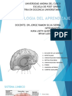 2.b.BASES NEUROFISIOLOGICAS DEL APRENDIZAJE