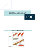 biofisicamuscular