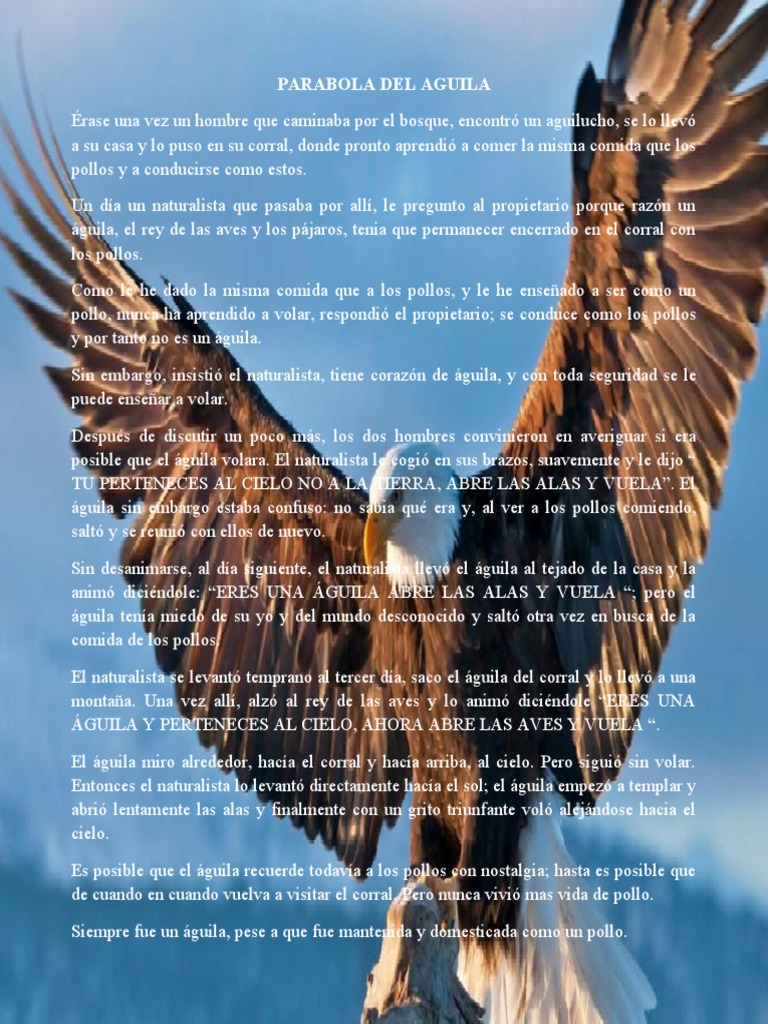 Parabola Del Aguila | PDF | Pollo | Aves