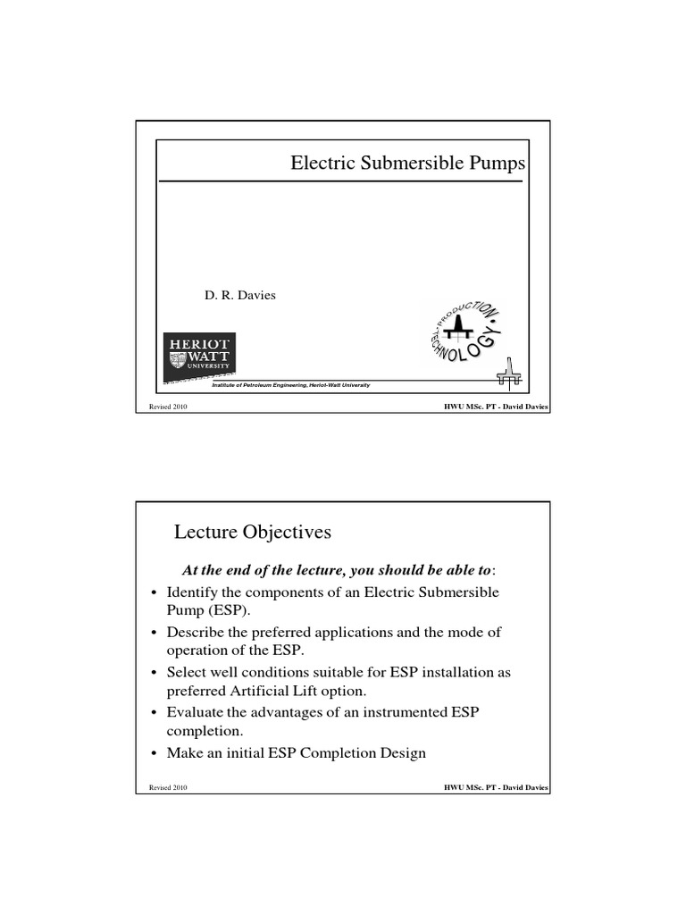 4c AL ESP Vision 2010 PDF | PDF | Pump | Energy Technology