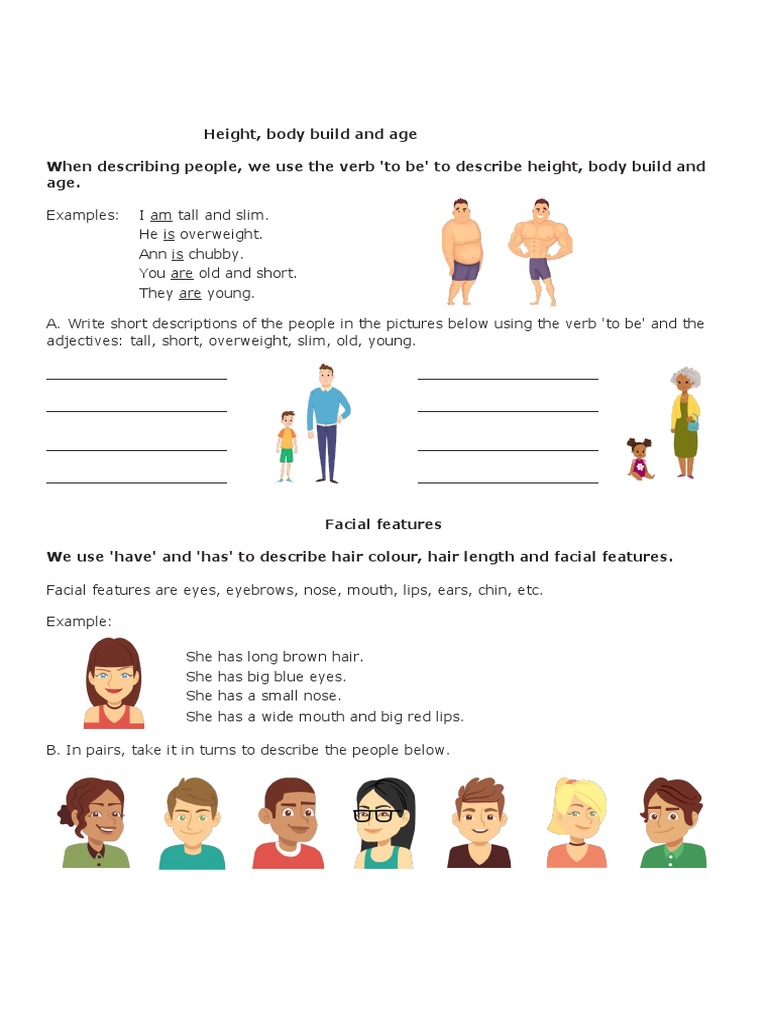 Height, Body Build and Age When Describing People, We Use The Verb 'To Be'  To Describe Height, Body Build and Age | PDF | Human Body | Softlines  (Retail)