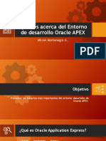 Apuntes Acerca Del Entorno de Desarrollo Oracle APEX