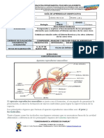 Biologia Octavo Guia 2SANCAYETANO