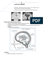 2 Hydrocéphalies