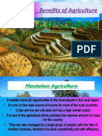 Geography: Benefits of Agriculture