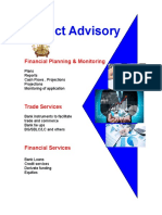 Project Advisory: Financial Planning & Monitoring