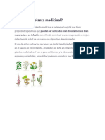 ¿Qué Es Una Planta Medicinal?: Maceradas o en Infusión Con El Fin de Contribuir A Una Recuperación o Mejora