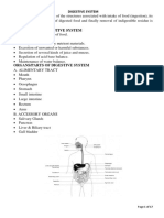 Digestive System