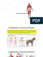 Anatomía Generalidades