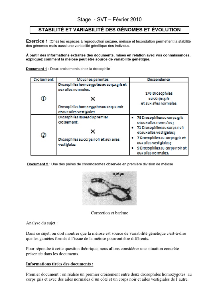 Sujet Bac Svt Génétique Et évolution Corrigé