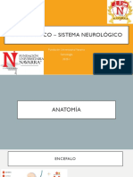 EF-Sistema Neurológico