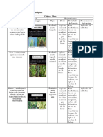 Plan de Fertilización Ecológica