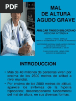 Download Mal de Altura Grave by Unidad Cuidados Intensivos Per SN46270970 doc pdf