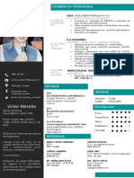 Victor 77-Curriculum-Vitae PDF