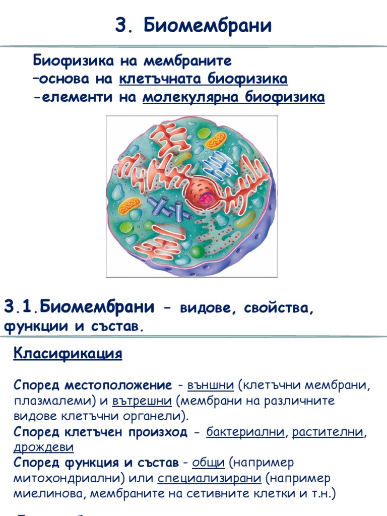 Лекция 2-3 | PDF