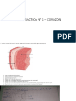 GUIA PRACTICA N° 1 – CORAZON JairGabrielCalderon.pdf