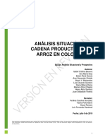 Documento Analisis Situacional PDF