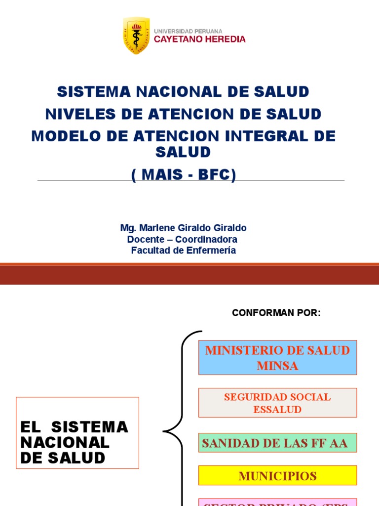 Niveles de Atención en Salud en Perú | PDF | Hospital | Esfera pública