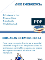 BRIGADAS DE EMERGENCIA CRIS