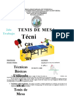 Tecnicas Ping Pong