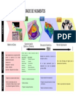 Fases de Un Estudio Integrado PDF