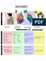 fases de un estudio integrado.pdf