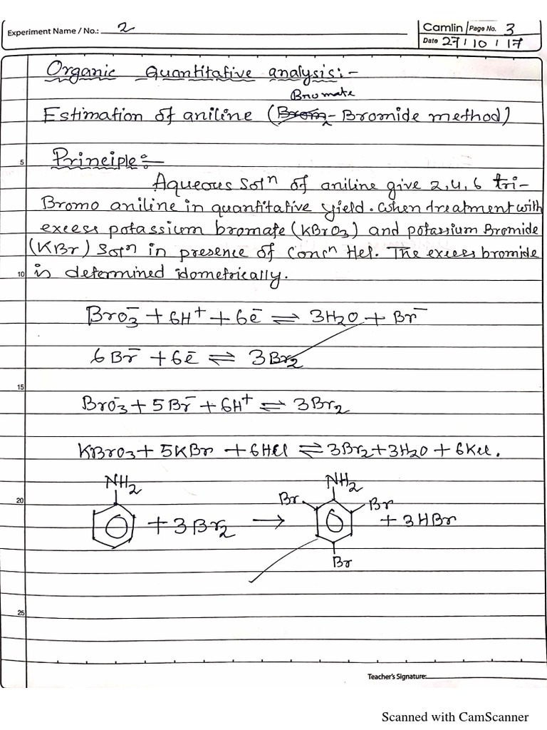 Draftsex.org Document Overview | PDF
