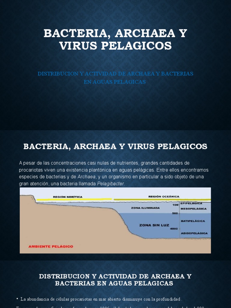 Archaea y Bacterias en Aguas Pelágicas | PDF | Archaea | Las bacterias