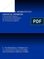 LP genital feminin.ppt