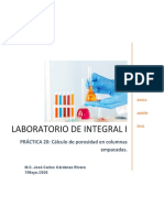 Calculo de Porosidad en Torres Prac 20