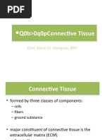 Connective Tissue