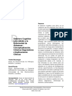 DCL_NNN_publicado .pdf