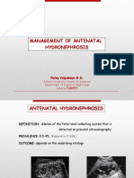 Management of Antenatal Hydronephrosis