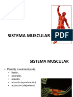 ppt-6 Músculos
