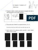 Sunetul Si Litera V.docx Versiunea 1