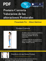 Postura Bípeda Ideal y Evaluación | PDF | La columna vertebral | Pelvis