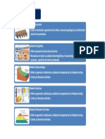 Fase II-eeii PDF