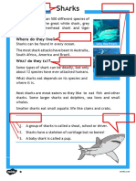 Worksheet Shark Report