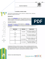 Taller de Matematuicas SENA EXPRESIONES ALGEBRAICAS