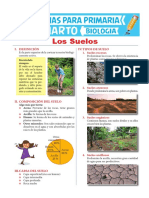 tipos de suelos 2020 para quinto grado.pdf