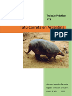 TPN°5 Tatú Carreta