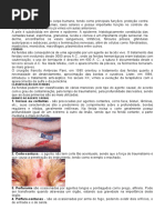 Cicatrização # feridas