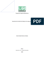Importancia de La División Del Trabajo en Las Organizaciones PDF